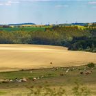 Landschaft mit Milchspendern