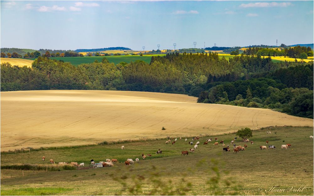 Landschaft mit Milchspendern