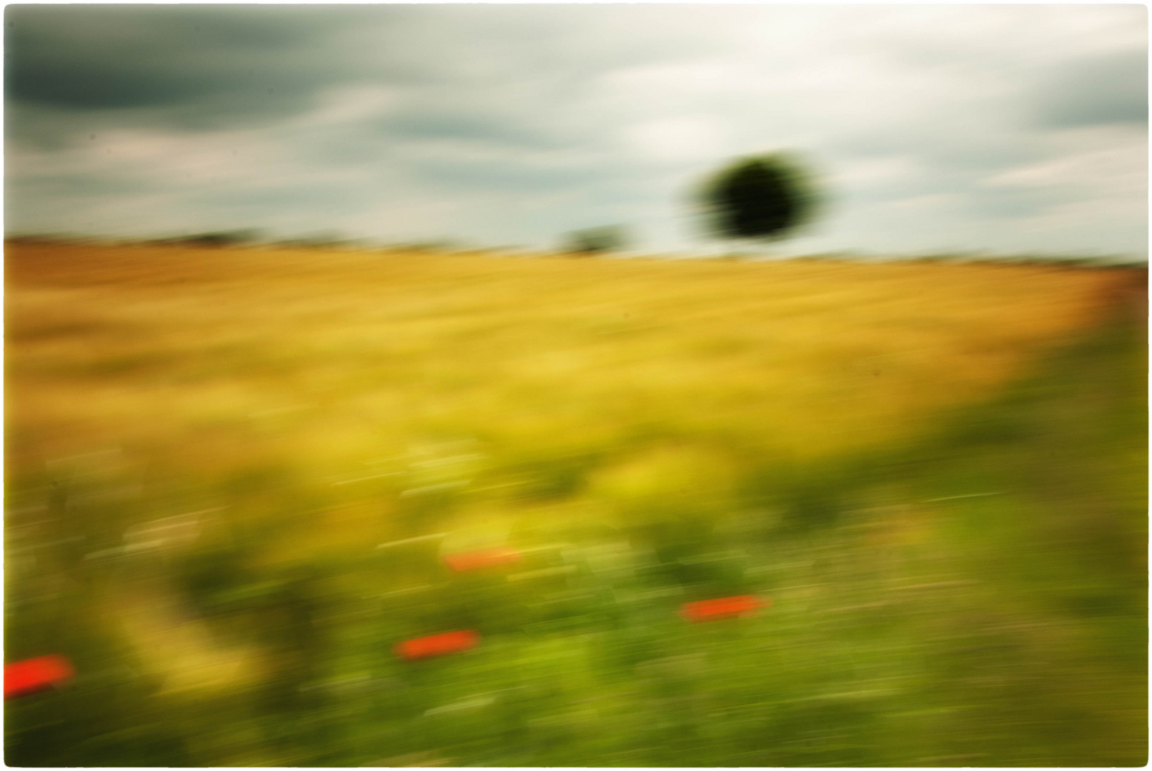 Landschaft mit Mohnblumen