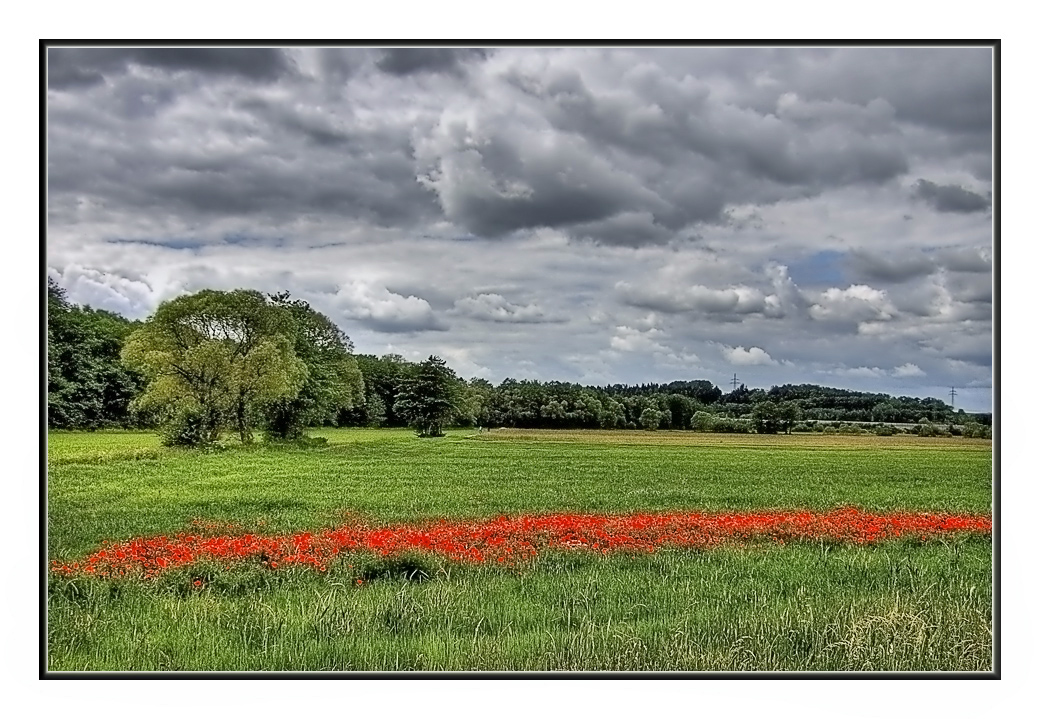 Landschaft mit Mohnfeld