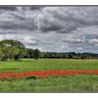 Landschaft mit Mohnfeld