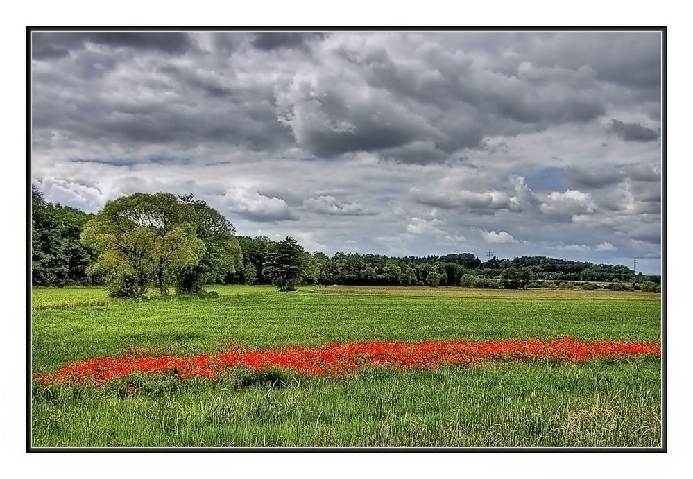 Landschaft mit Mohnfeld