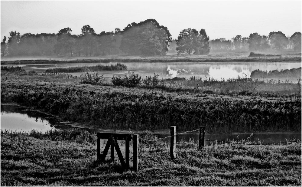 Landschaft mit Morgennebel