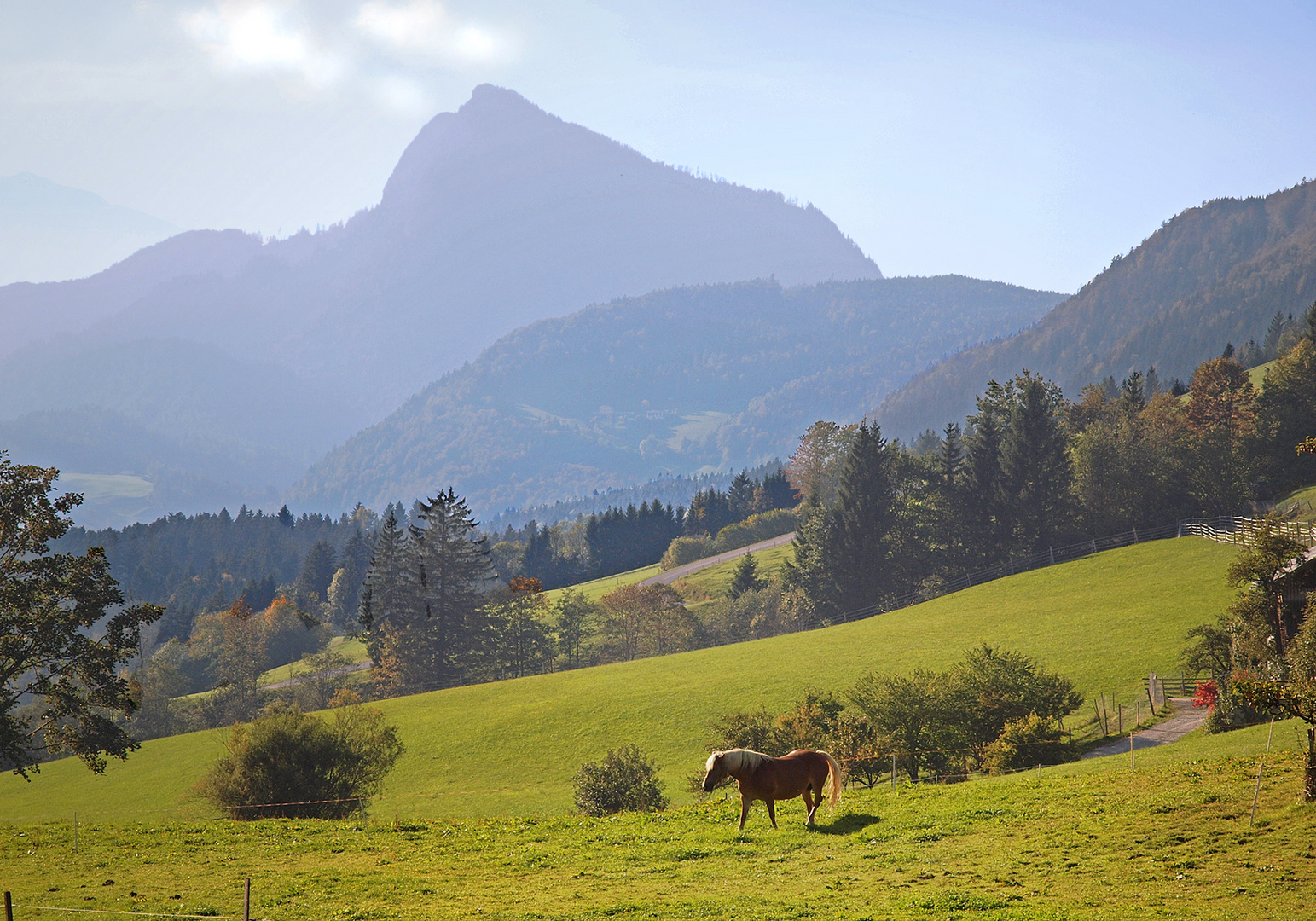 Landschaft mit Pferd ~