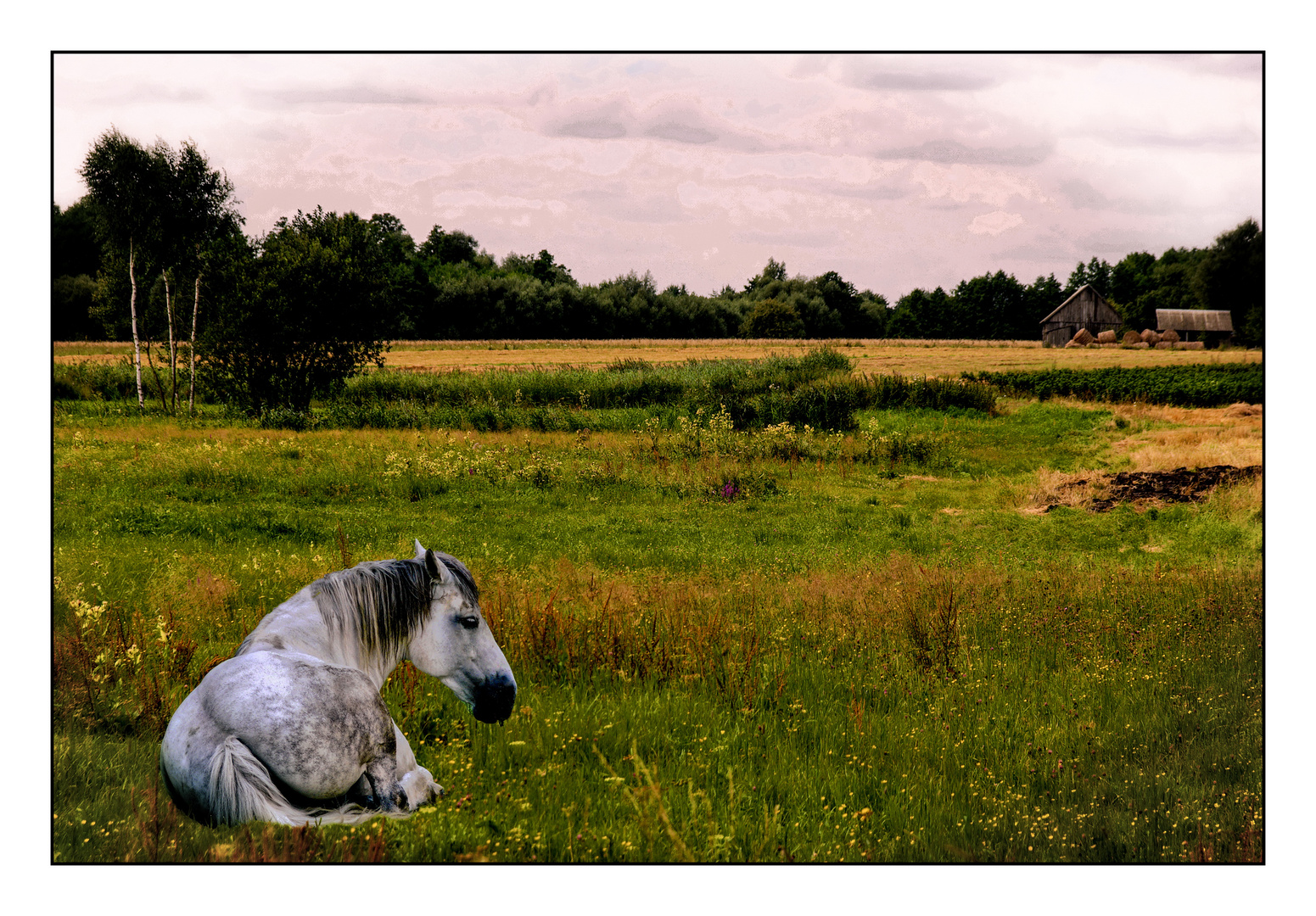 Landschaft mit Pferd