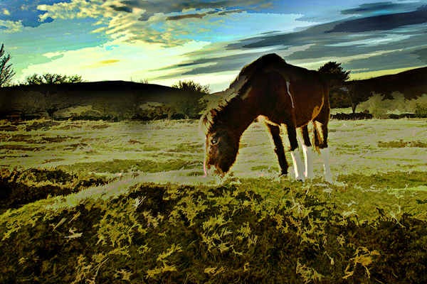 Landschaft mit Pferd