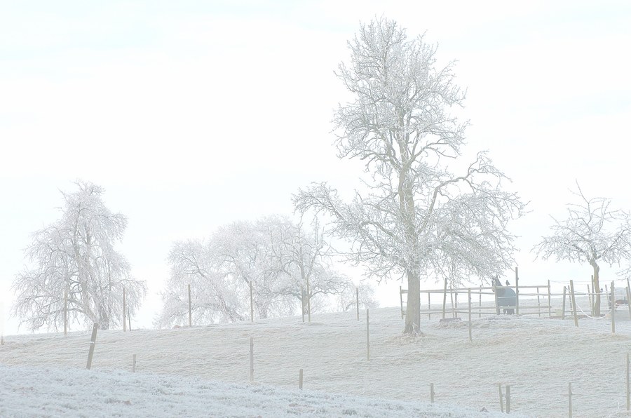 Landschaft mit Pferd und Vogel