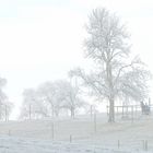 Landschaft mit Pferd und Vogel