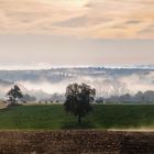 Landschaft mit Pferden