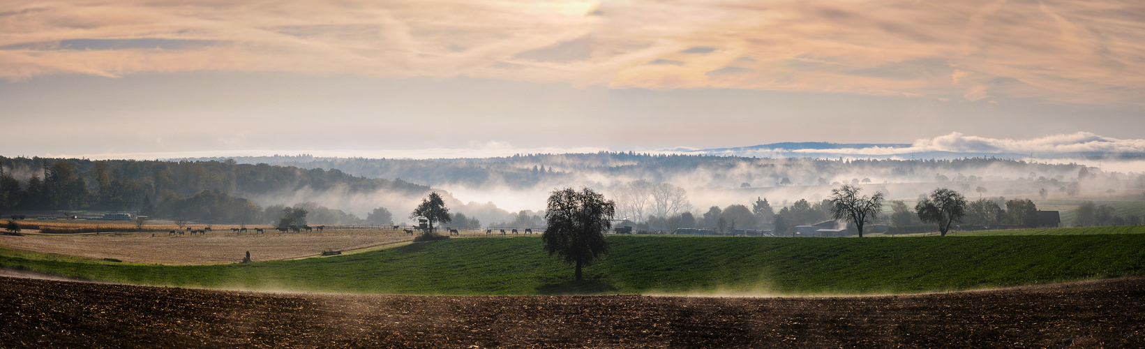 Landschaft mit Pferden