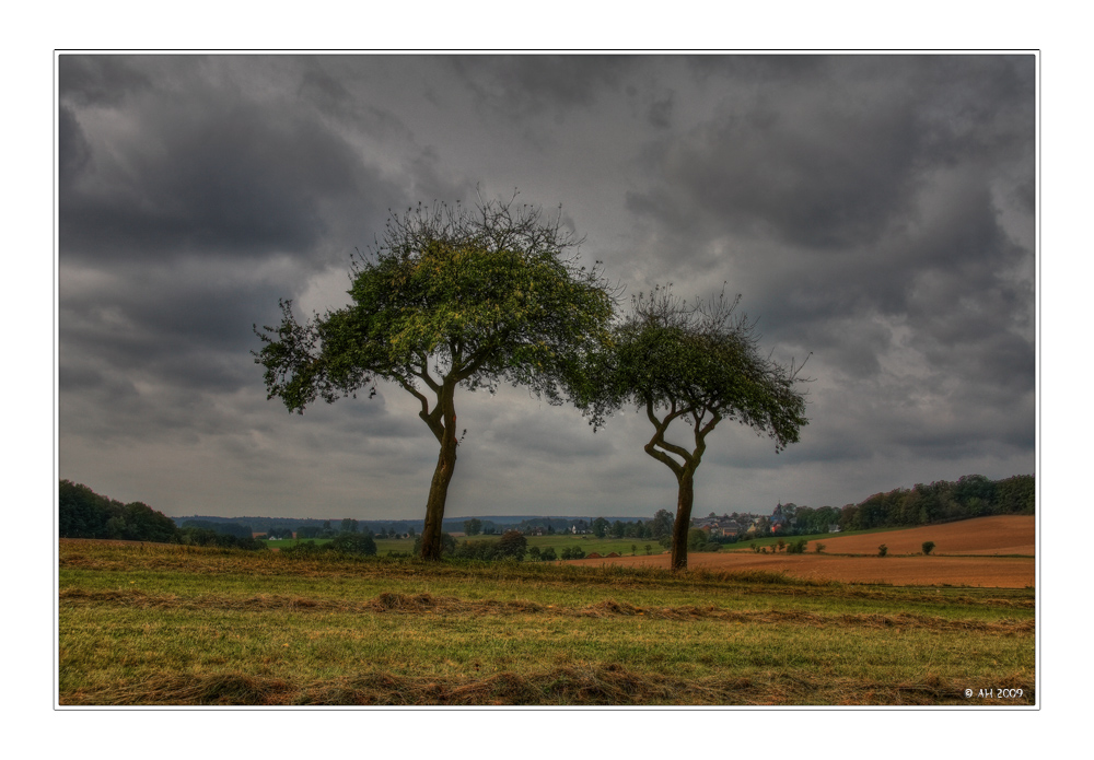 Landschaft mit Pflaumenbäumen