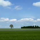 Landschaft mit Radfahrer