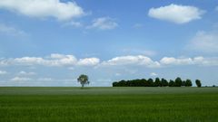 Landschaft mit Radfahrer