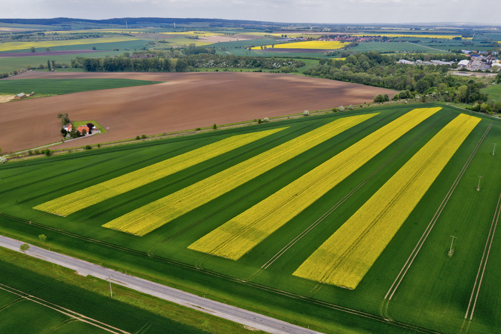 Landschaft mit Rapsfeld