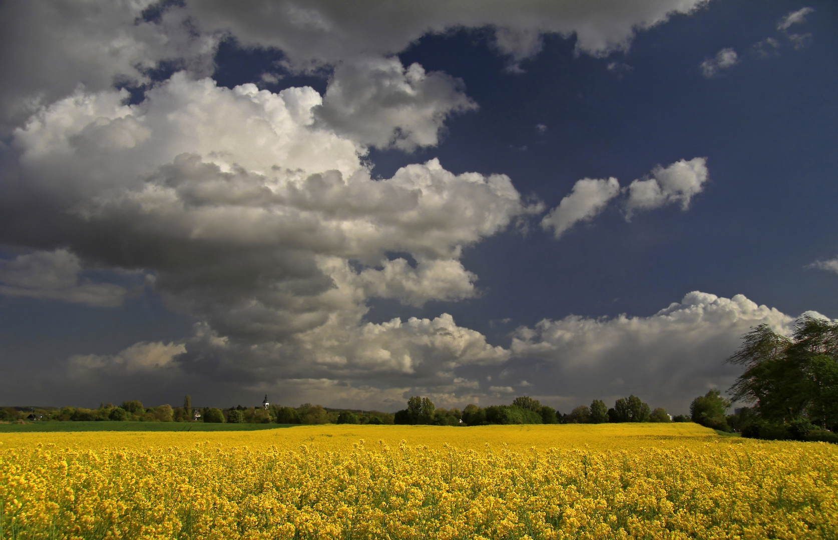 Landschaft mit Rapsfeld und Wolken