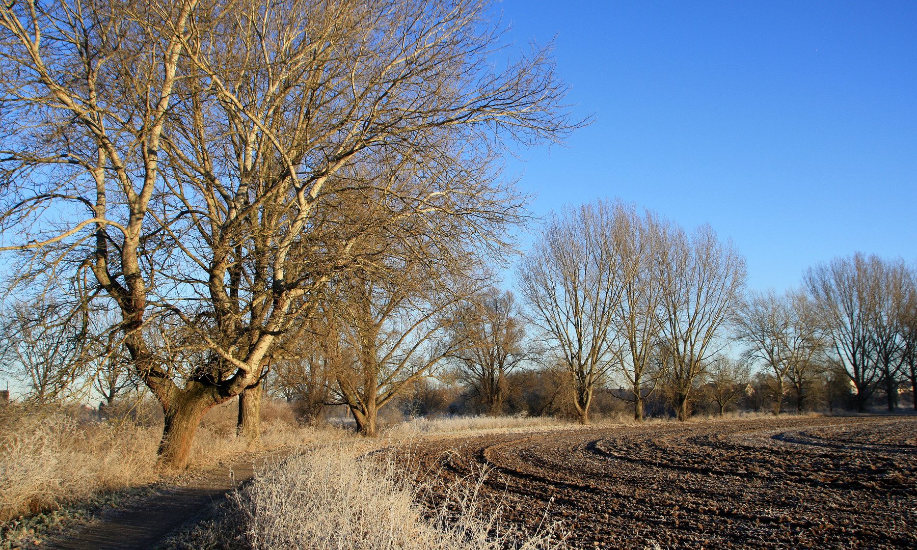 Landschaft mit Raureif 2