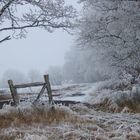 Landschaft mit Raureif