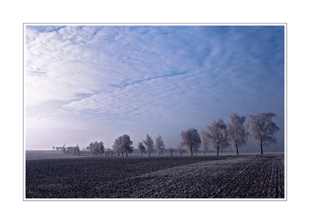 Landschaft mit Raureif