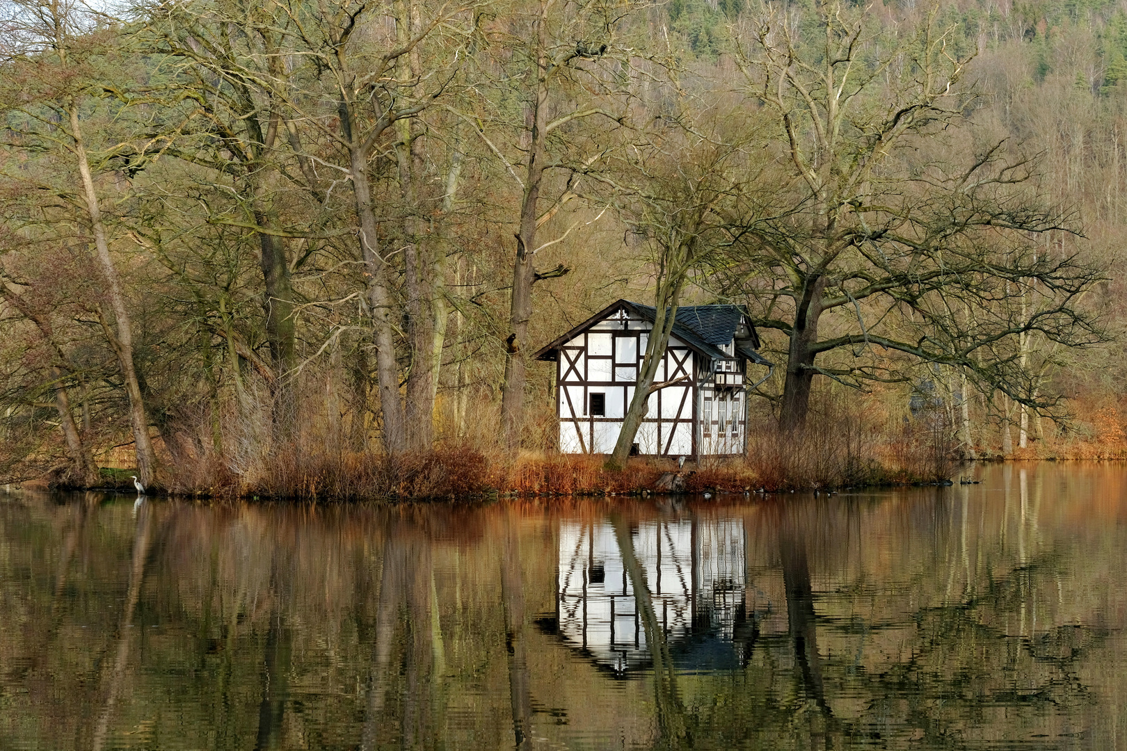 Landschaft mit Reiher