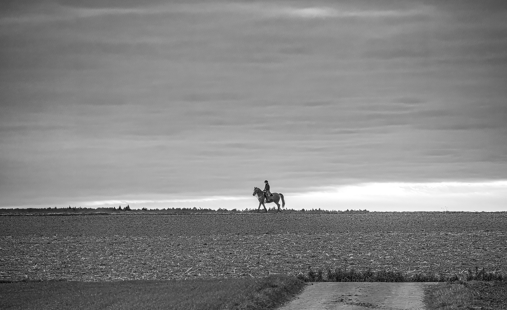 Landschaft mit Reiterin sw