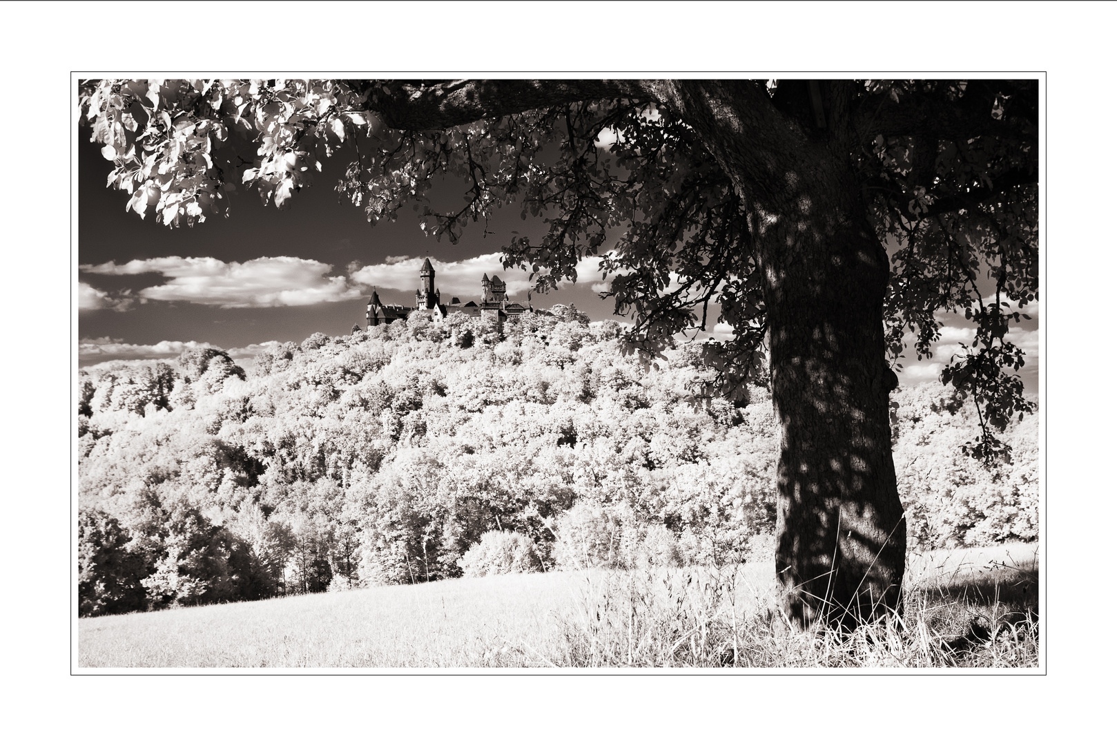 Landschaft mit Schloss Braunfels II