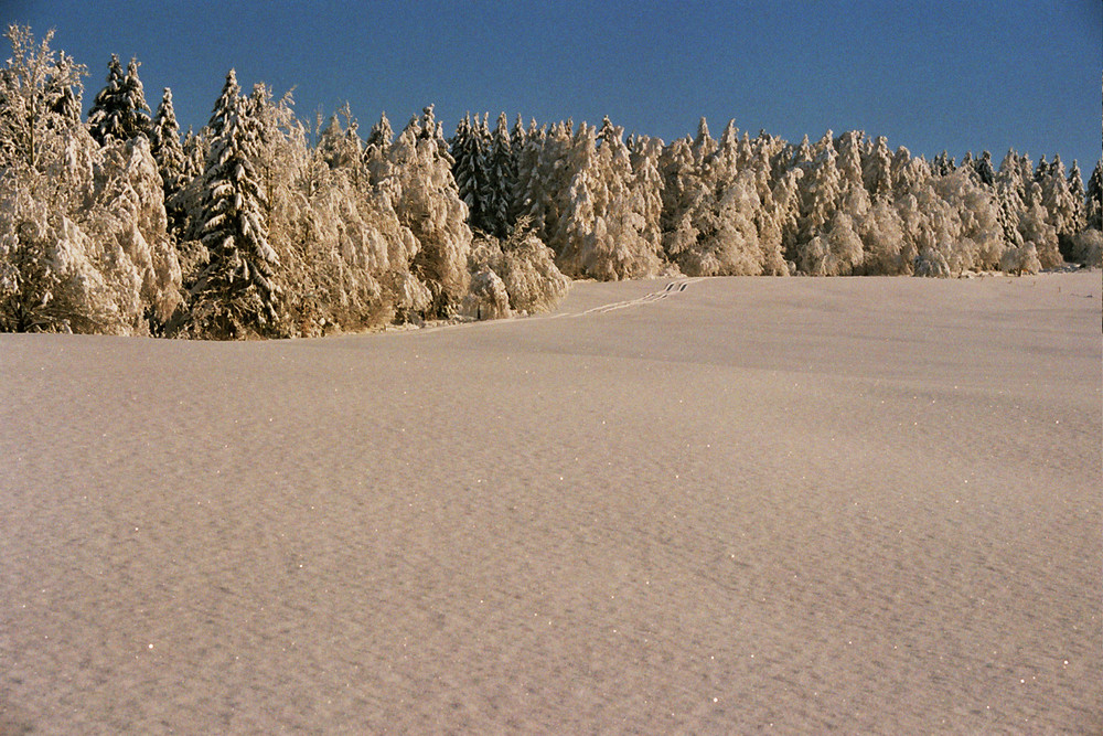 Landschaft mit Schnee