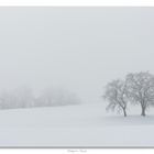 Landschaft mit Schnee I