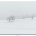 Landschaft mit Schnee II