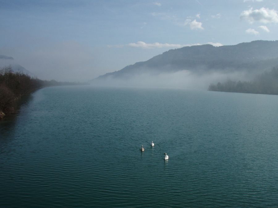 Landschaft mit Schwänen