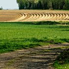 Landschaft mit Schwung