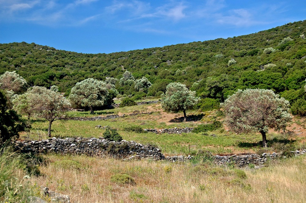 Landschaft mit Steinmauern