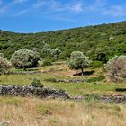 Landschaft mit Steinmauern