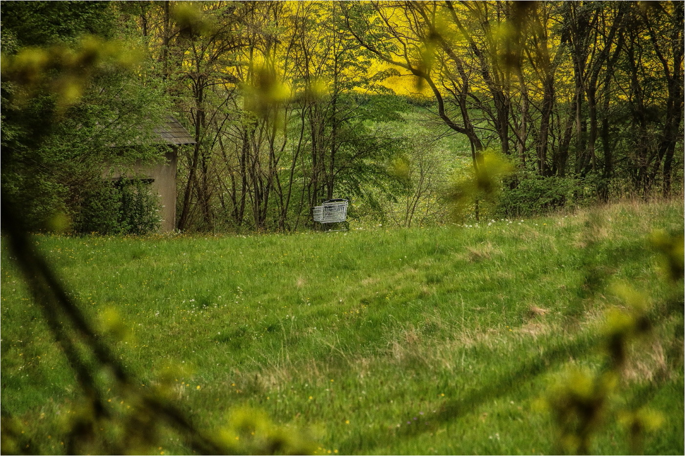 Landschaft mit störendem Clopapiertransporter