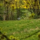 Landschaft mit störendem Clopapiertransporter