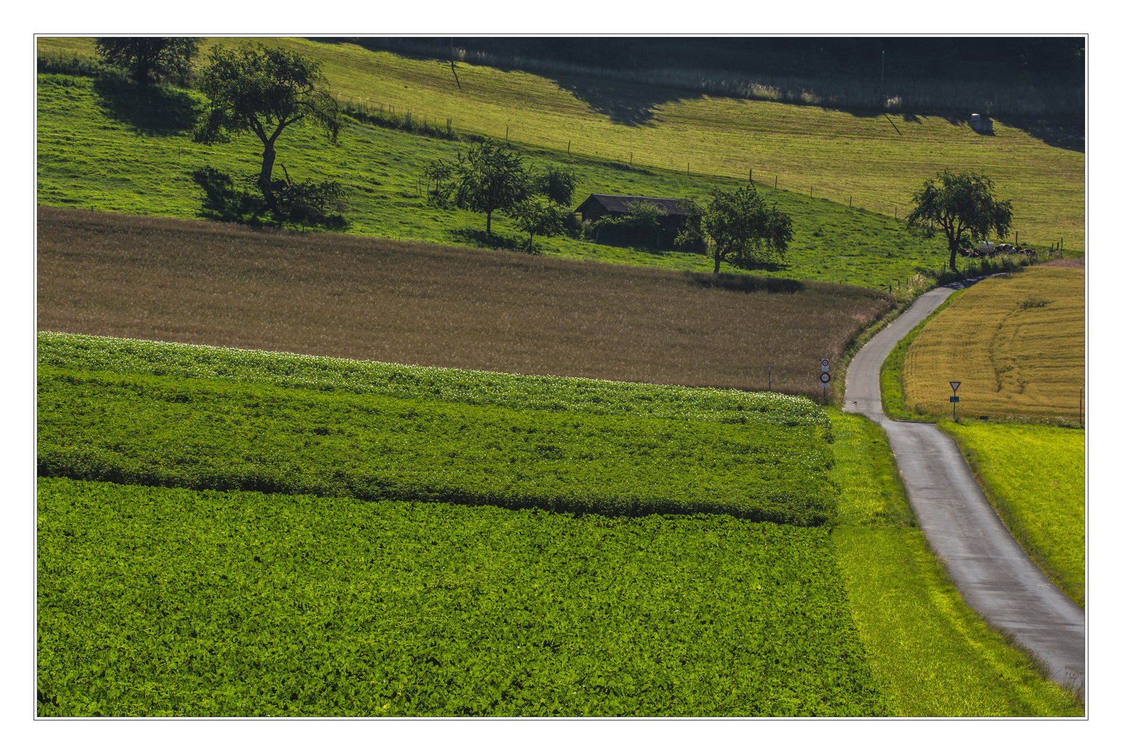 Landschaft mit Straße