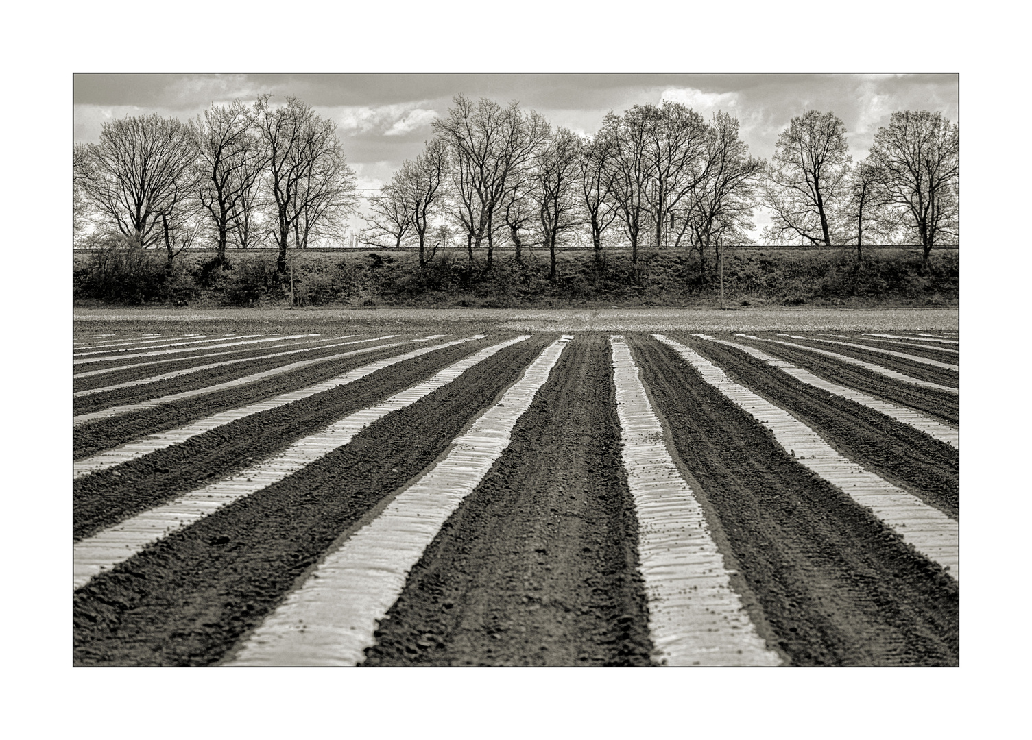 Landschaft mit Streifen