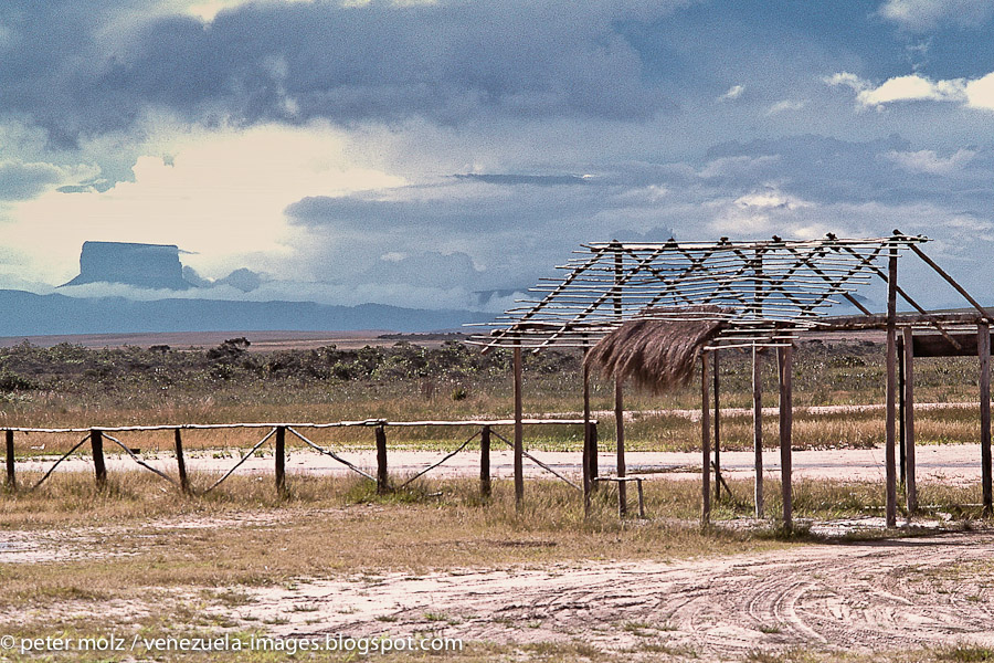 Landschaft mit Tepui / Gran Sabana, Venezuela