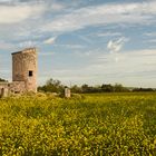 Landschaft mit Turm