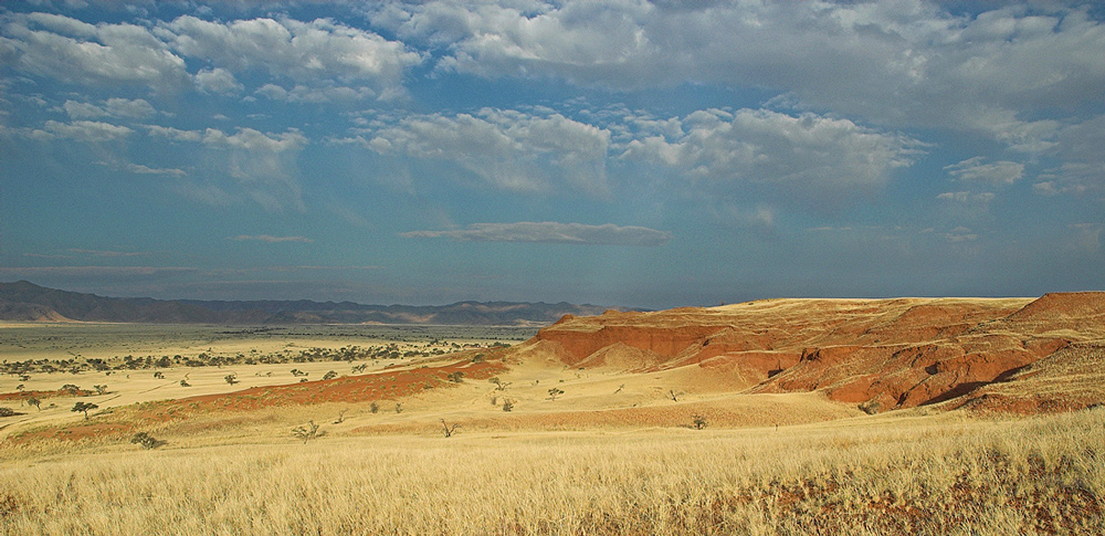 Landschaft mit versteinerten Dünen