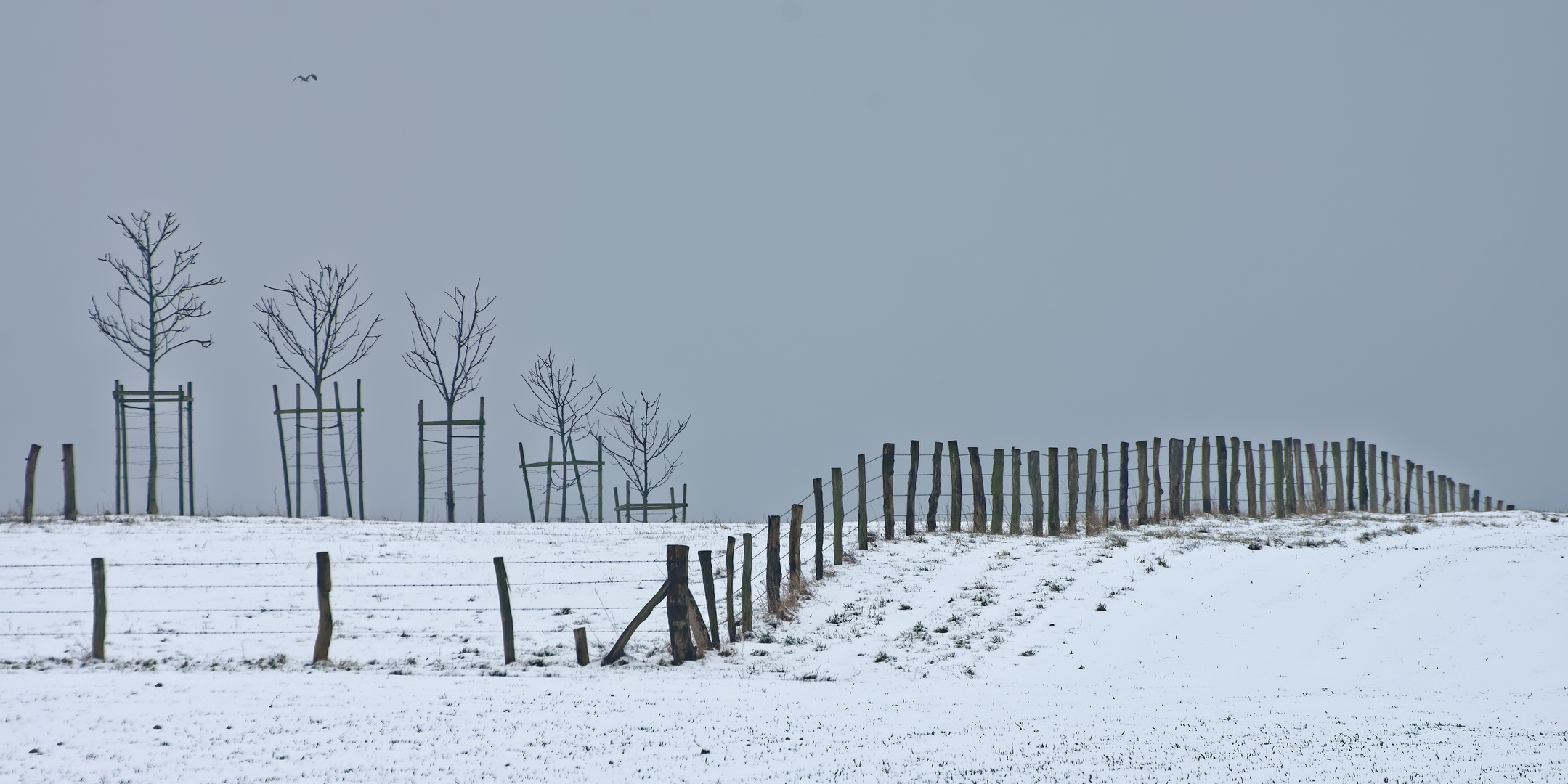 Landschaft mit Vogel