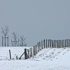 Landschaft mit Vogel