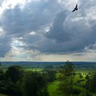 Landschaft mit Wetter und Vogel