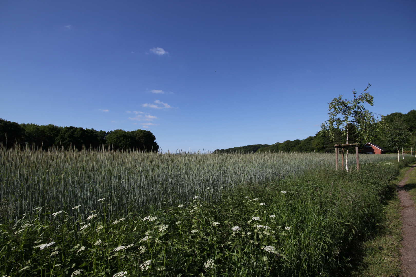 Landschaft mit Wolke