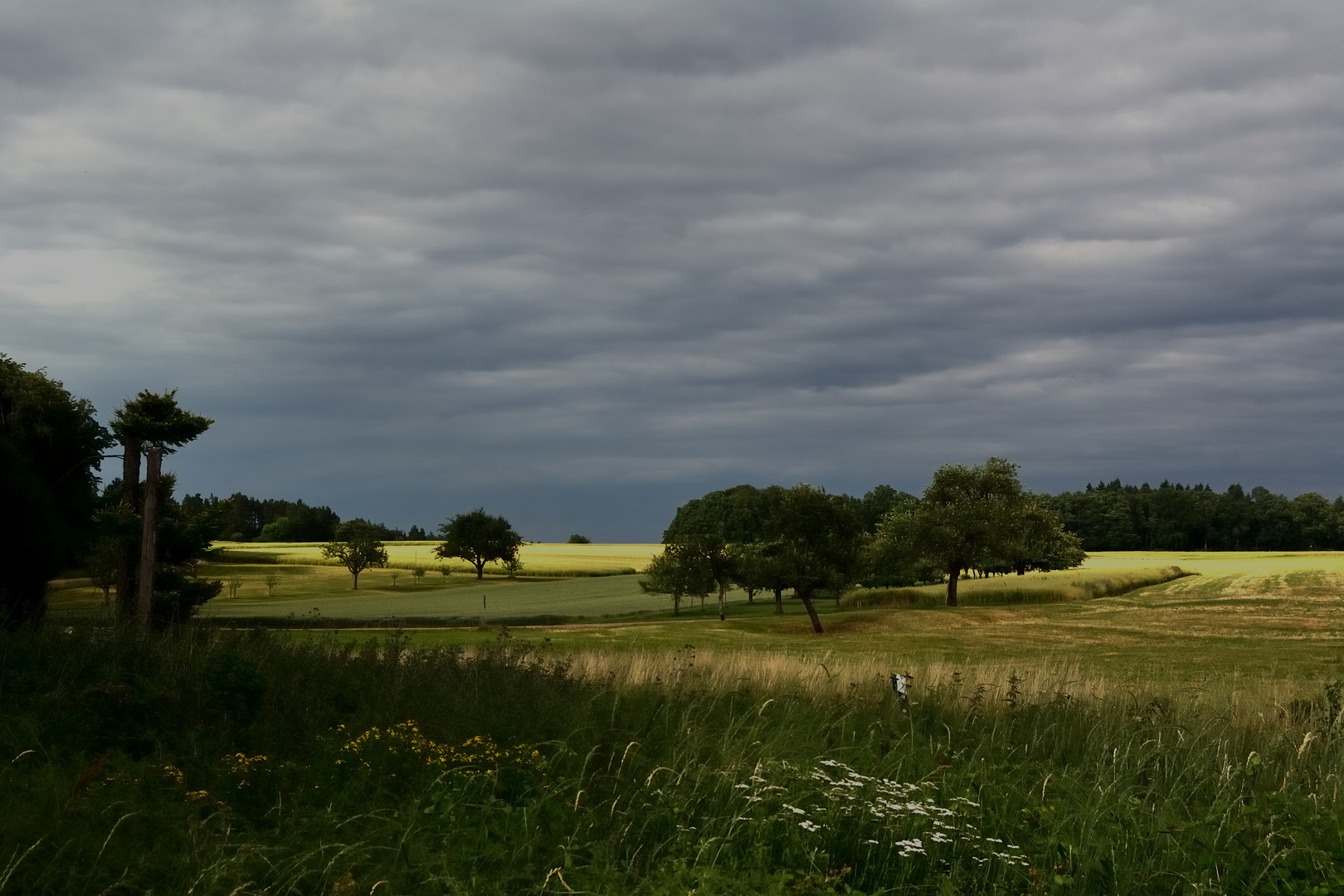 Landschaft mit Wolken