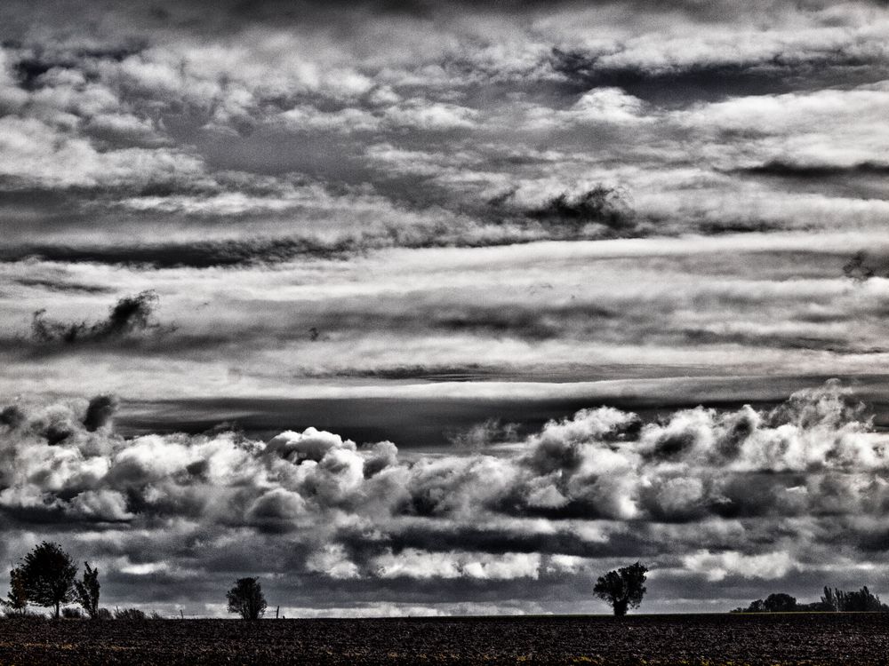 landschaft mit wolken und bäumen ...