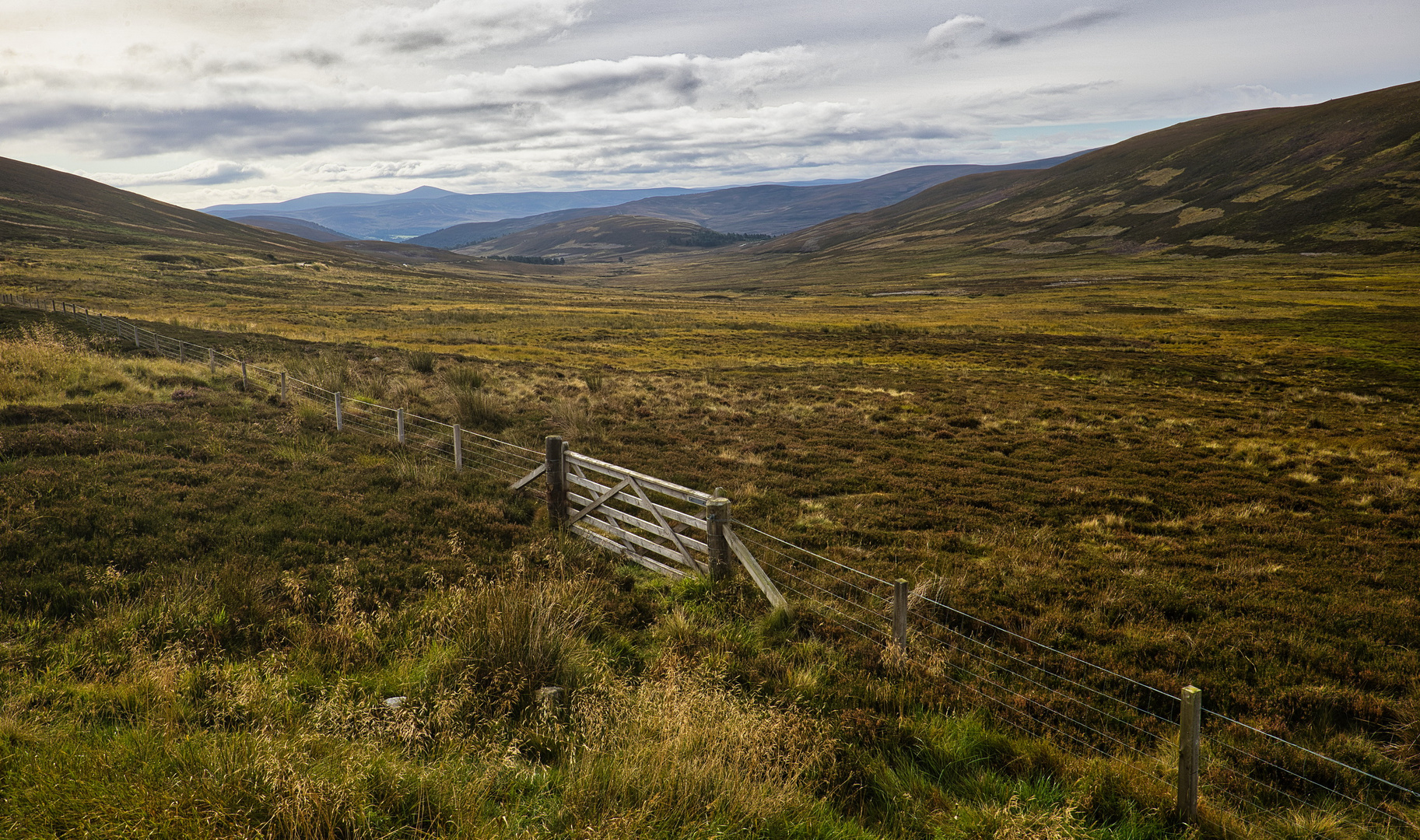 Landschaft mit Zaun_MG_9382