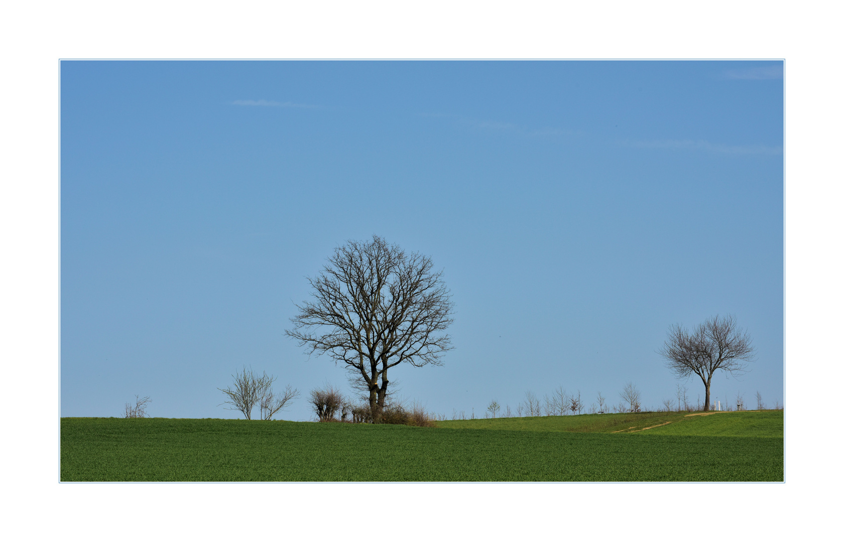 Landschaft mit zwei Bäumen