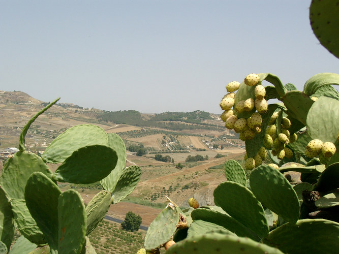 Landschaft mitten in Sizilien