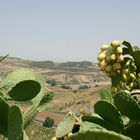 Landschaft mitten in Sizilien