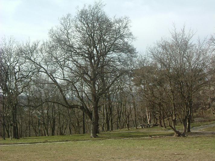 Landschaft Mödling nahe Burg Lichtenstein